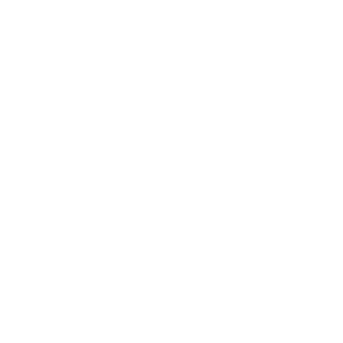 Portfolio- 2025