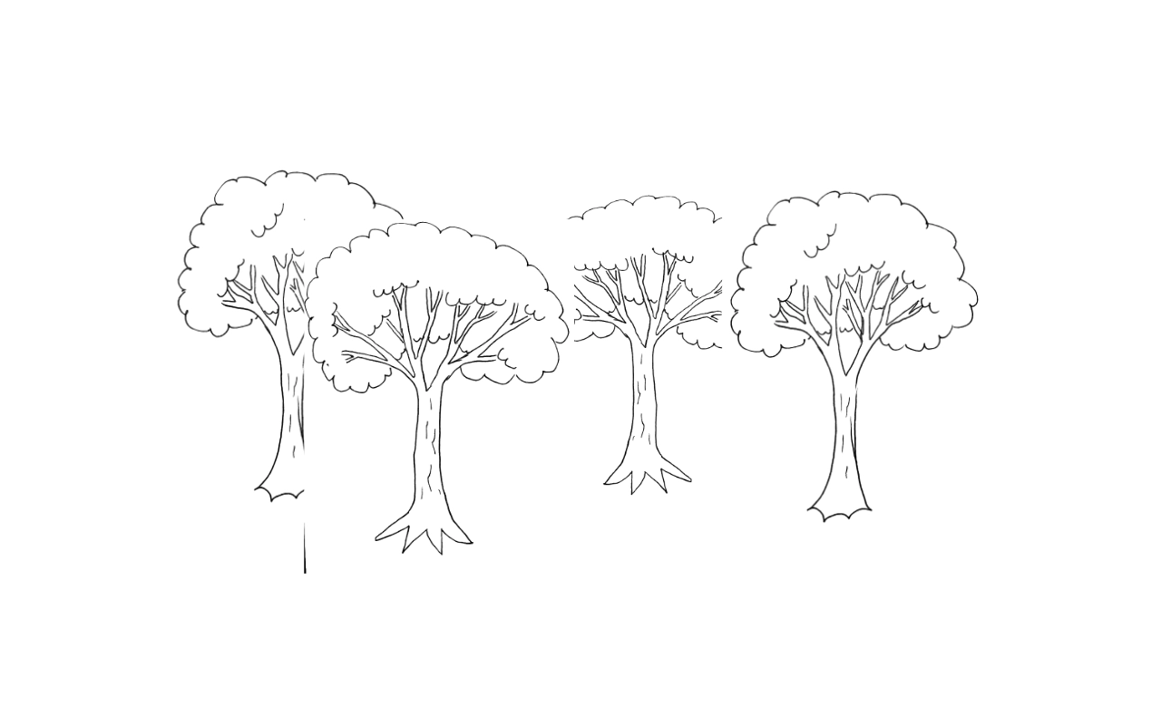Illustration d'une forêt avec des arbres feuillus