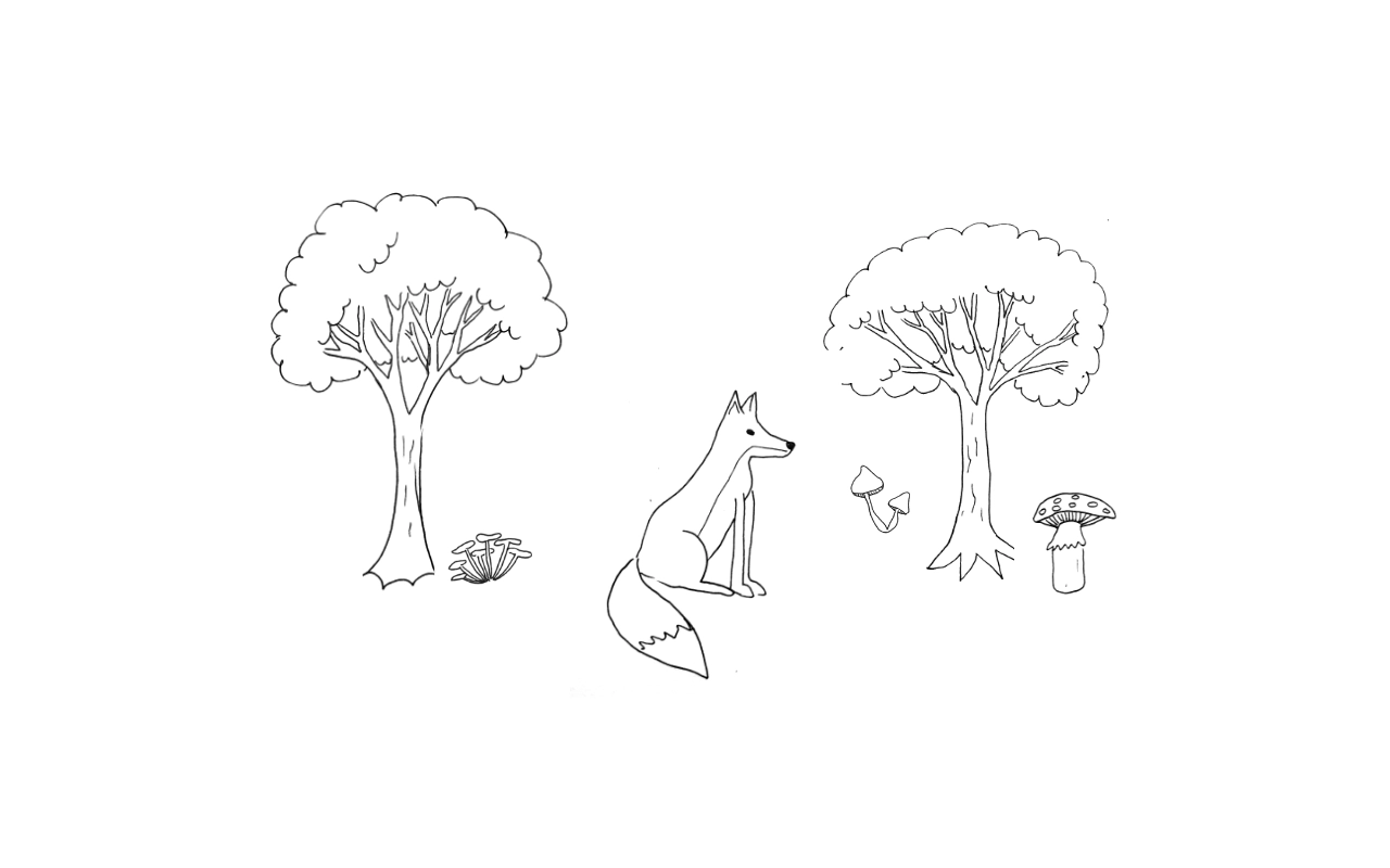 illustration d'une forêt avec des arbres, champignons et un renard