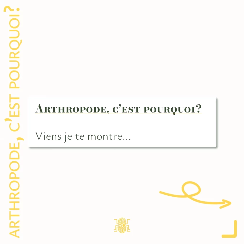 Arthropode, c'est pourquoi?
Viens je te montre...