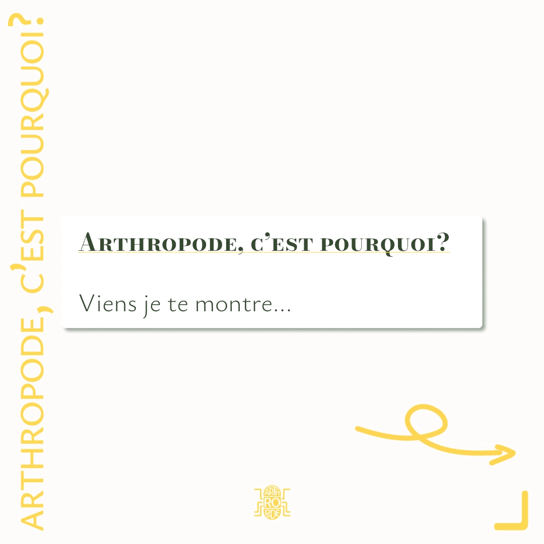 Arthropode, c’est pourquoi?
