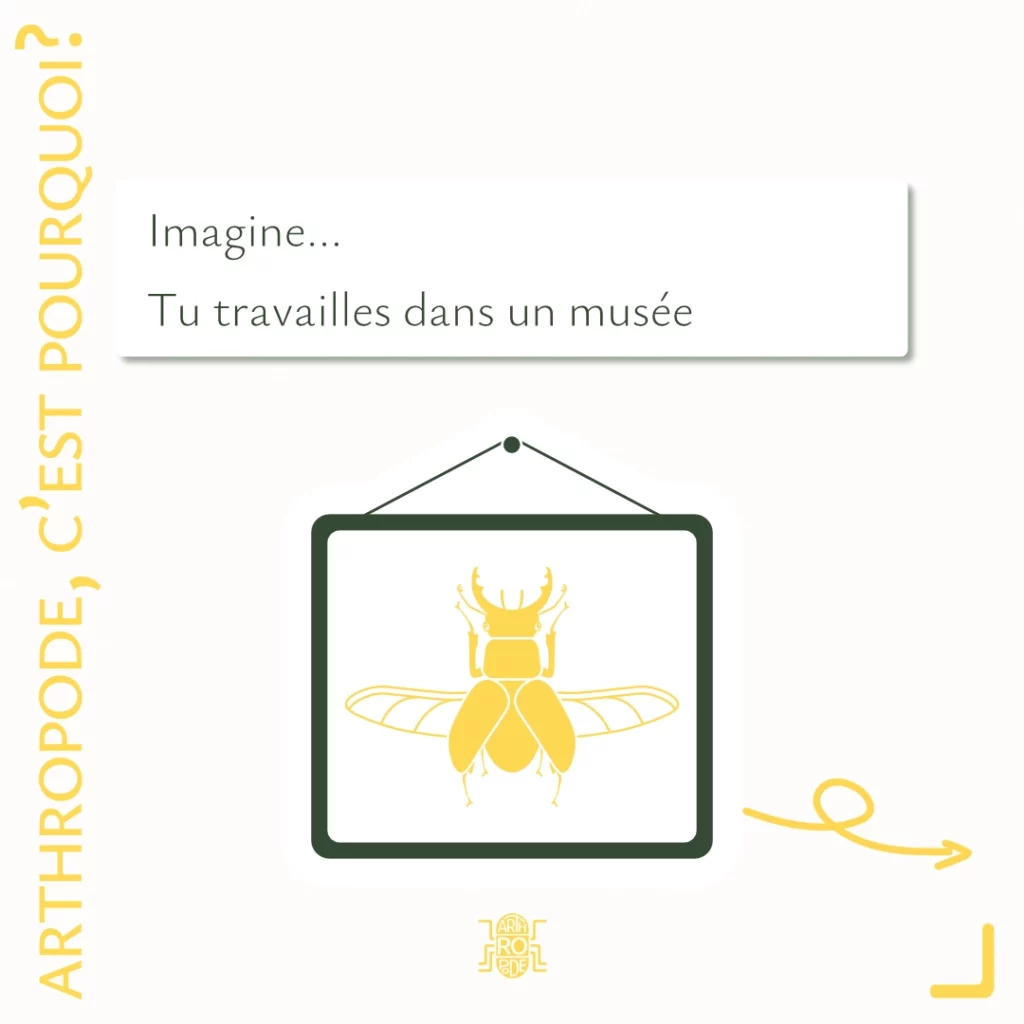 Imagine...
Tu travailles dans un musée
Image d'un tableau avec un insecte dessus.