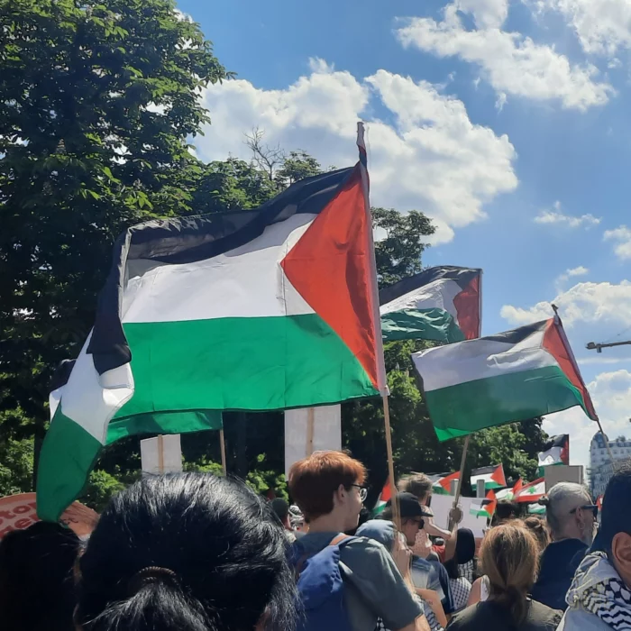 Manifestation pro-palestinienne - Bruxelles le 11 mai 2025