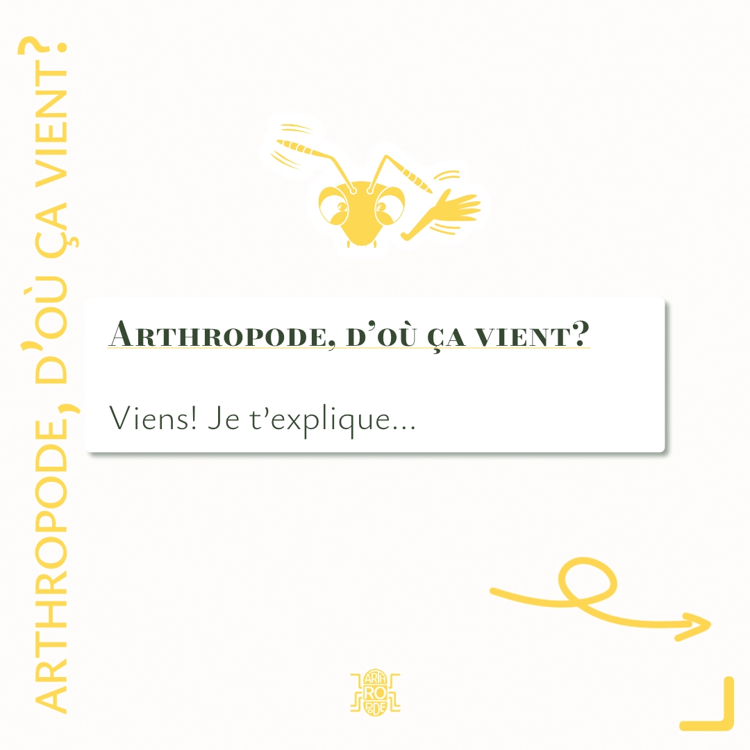 Arthropode, d’où ça vient?