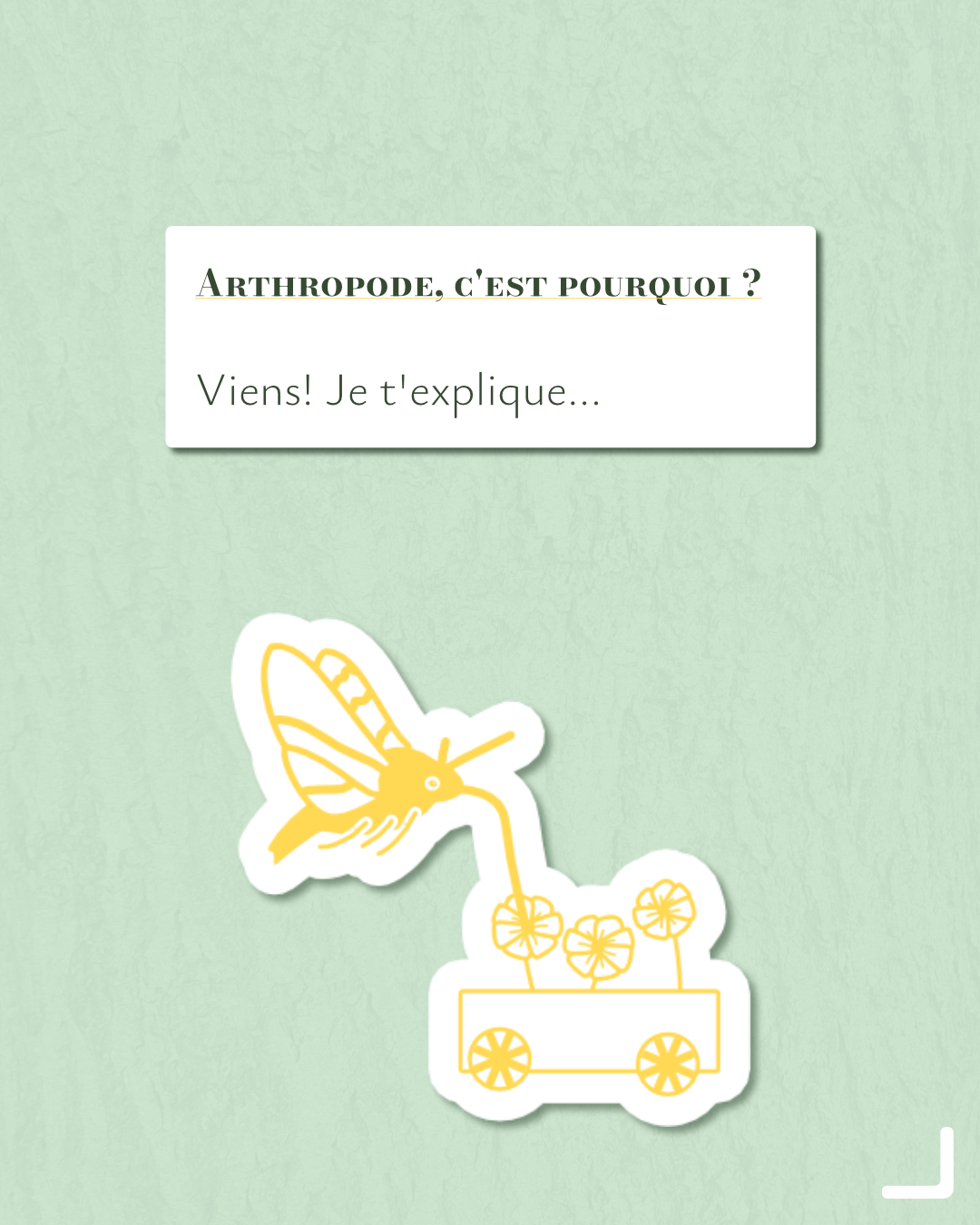 Arthropode, c&rsquo;est pourquoi ?